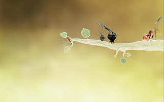 Botanicula